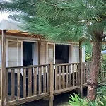 Mobilhome Calina 4 Etoiles Les Viviers Cap-ferret * Lège-Cap-Ferret