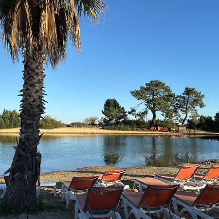 Mobilhome Calina 4 Etoiles Les Viviers Cap-ferret Camping